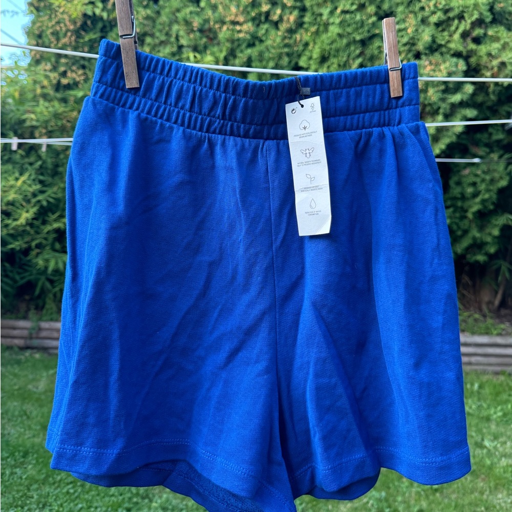 Zara shorts